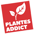 Plantes Addict